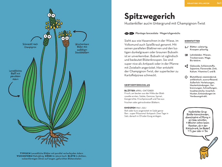 7 Tage - 7 Wilde Pflanzen essen