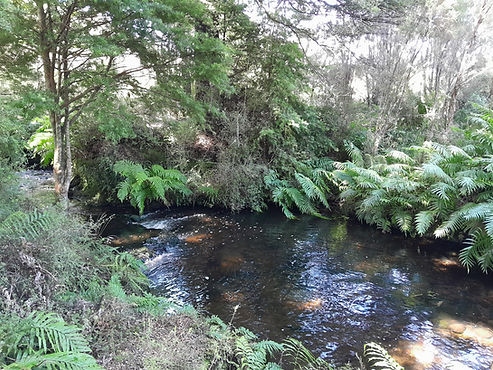 Feb swimming hole 3.jpg