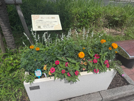 平和のリング花壇に花を植えました🌸