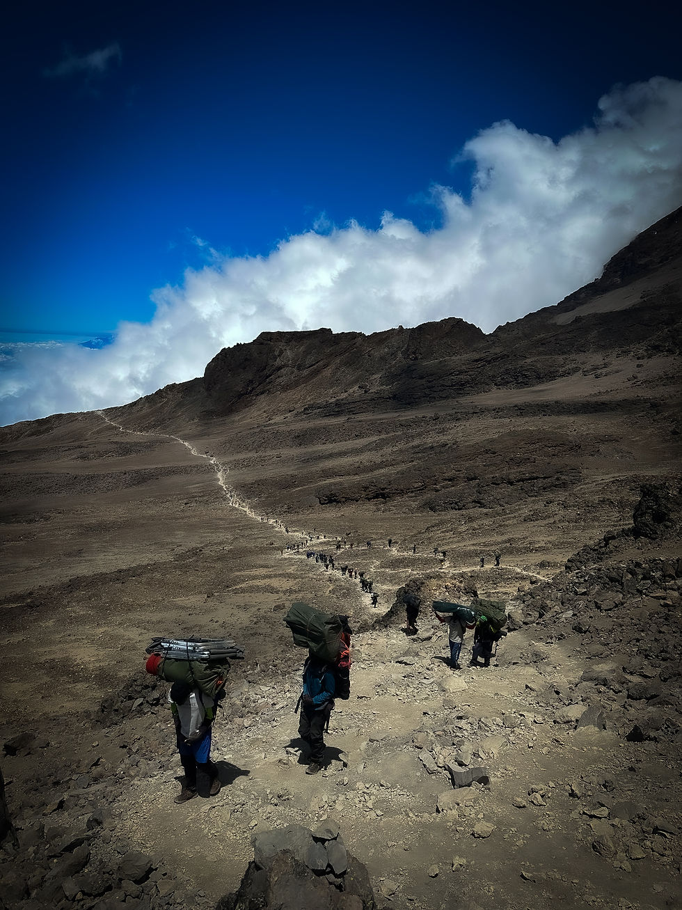 Trail