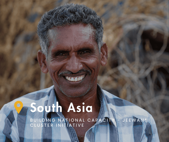 South Asia
