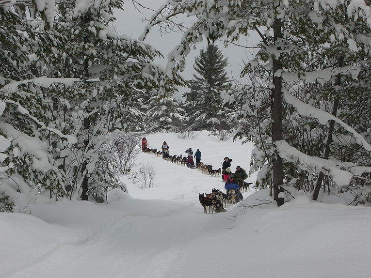 dog sledding upper peninsula Michigan