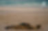 2022129-galapagos-ironbarquecouk-266.jpg