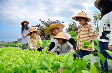 菜園-信安 04a.JPG