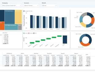 Cross cost center forecast inside Power BI, showing planning input across multiple cost centers with Aimplan's native visuals.