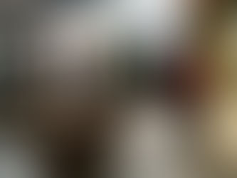 AGENDA DA SEMANA: Visitei academias, escritórios, fábricas e indústrias