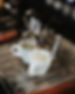 charlie black april 29th-19.JPG