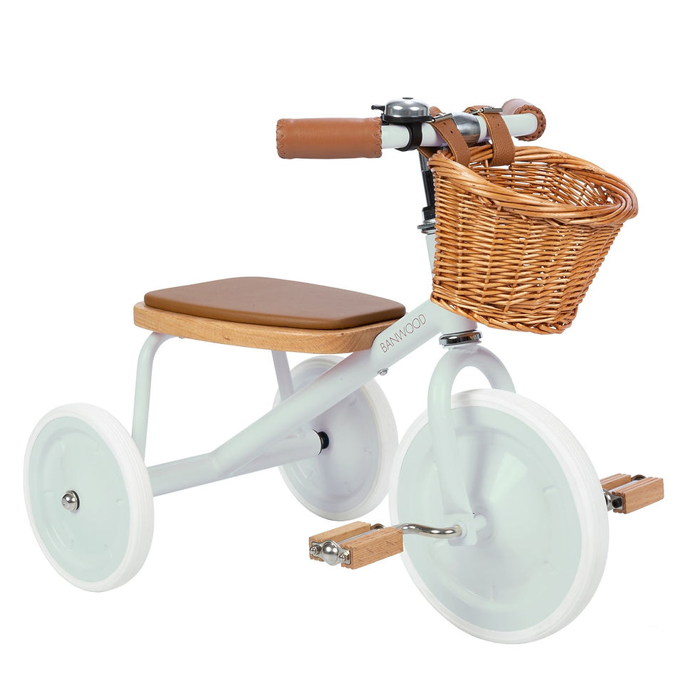 Thumbnail: Tricycle pour enfants de 3 à 6 ans - Design rétro - Vert menthe - BANWOOD