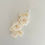 Miniature : Bougie d’anniversaire - Daisy