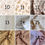 Miniature : Draps housse 90x160