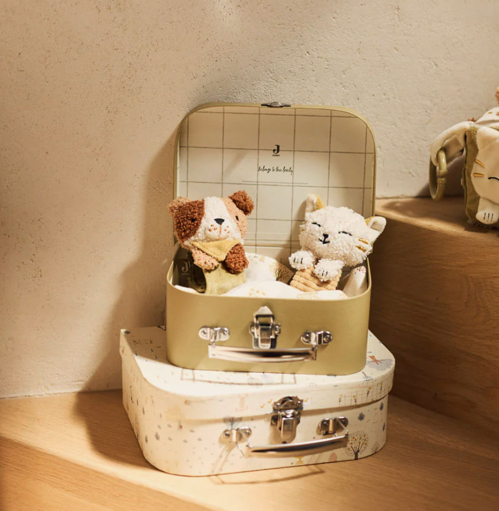 Miniature : Cube d'Activités Jollein — Tiny Park · Nouveau