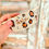 Miniature : Bol Graou