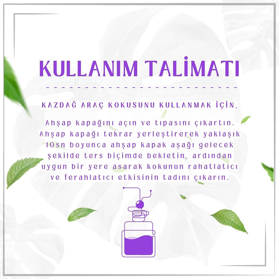 Küçük resim: Spring Breeze - Bahar Esintisi Askılı Araç Kokusu