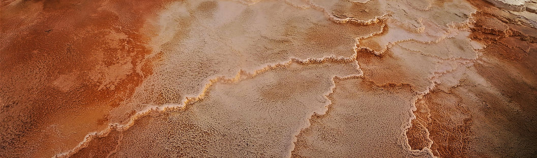 Orange Creamsicle (final).jpg