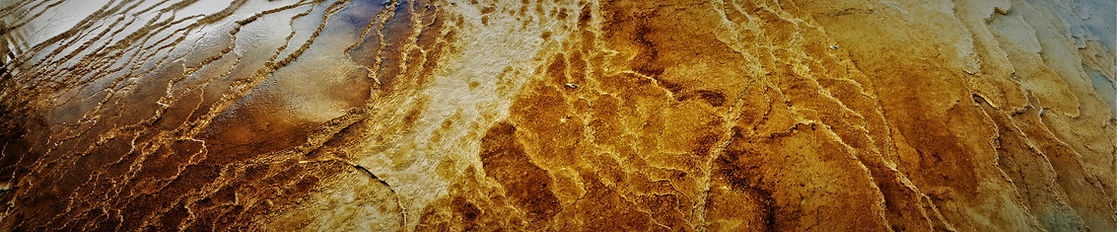 The Line Between (final).jpg