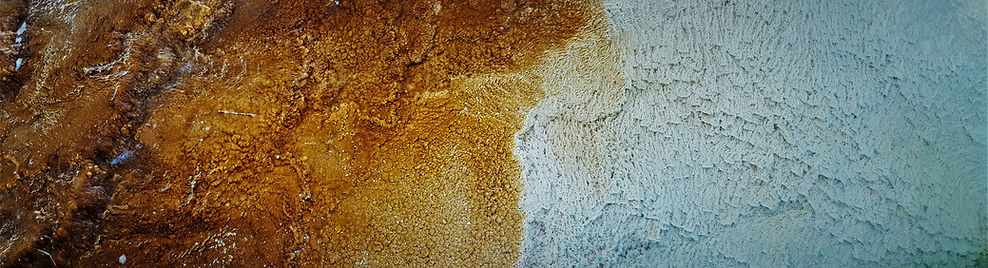 The Balance of Life (final).jpg