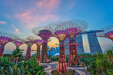 AdobeStock_80937835 (1).jpeg