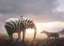 AdobeStock_260770759.jpeg