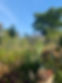 IMG_4946.jpeg