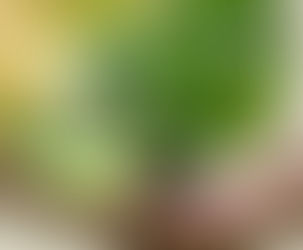 Comfenalco recibe el Reconocimiento Sello Verde de Verdad por su compromiso con la sostenibilidad