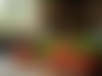 A Guide to Enjoying Authentic Italian Cuisine