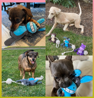 Thumbnail: Blue Donkey Plush Squeaker+Hemp Rope Toy Bundle