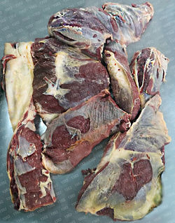 FOREQUARTER - DELANTERO EN MANTA