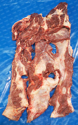 NECK - COGOTE