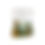 Thumbnail: Definition of American – 1828 Webster’s Dictionary Poster (FAIRE Edition)