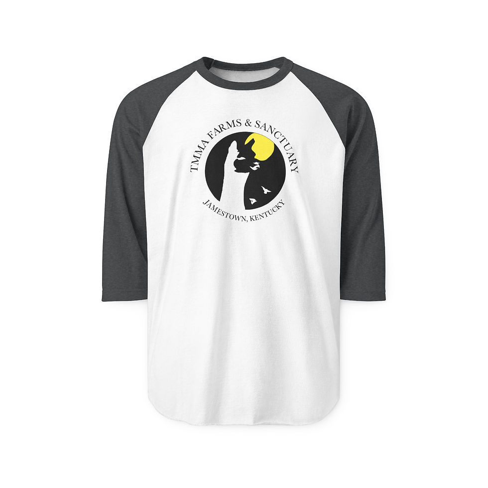 Thumbnail: Copy of Rescue Love Raglan Shirt