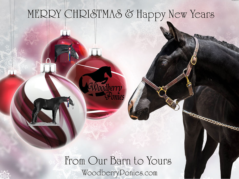 Thumbnail: Premium Farm, Event or Stallion Web Ad