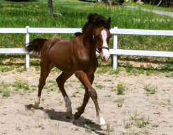 Haute Ganache - Taken 5/7/2018