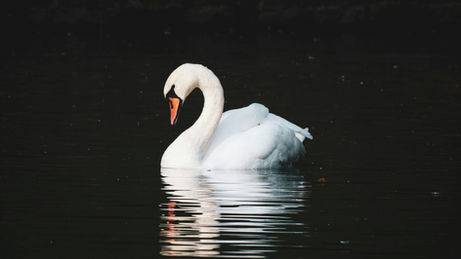 Staying Connected when Days are Short