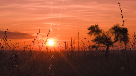 Embracing Change with the Equinox 