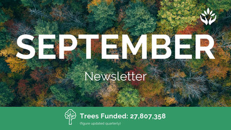 September Newsletter