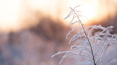 Happy New Year. Help Shape this Movement!