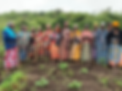 Community of women