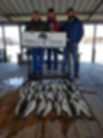 #Finallyfish.com