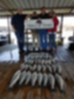 #Finallyfish.com