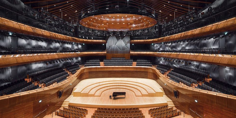 Polish National Radio Symphony Orchestra – New Year's Concert