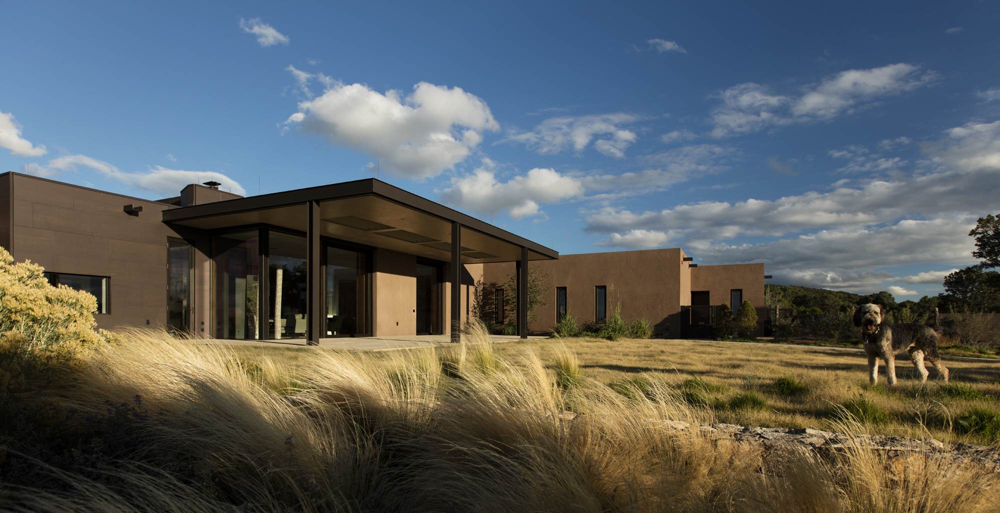 Contemporary Architecture