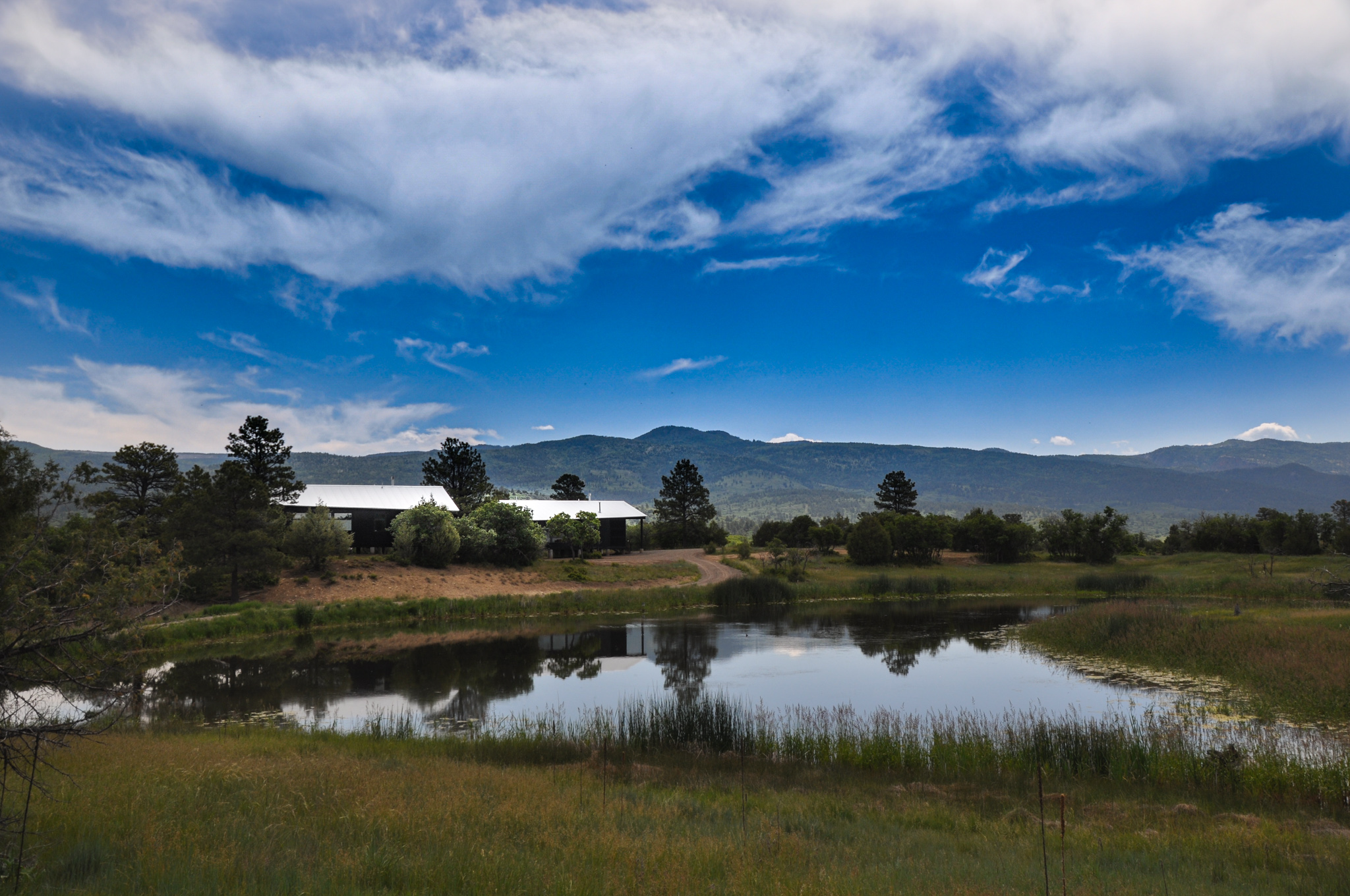 Modern Cabins New Mexico