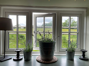 REAR WINDOW.JPEG