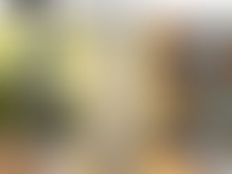 もう、、限界だ。