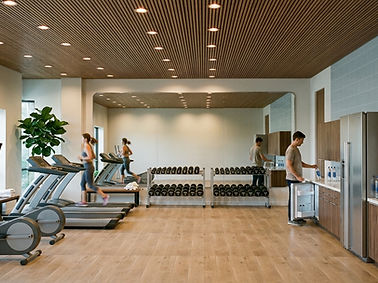 Gym1.jpg