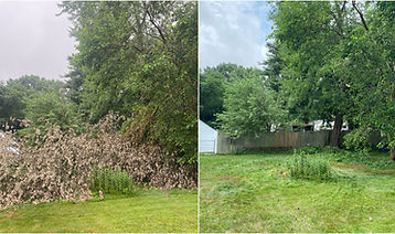 A fallen tree limb that was removed by a tree service company.