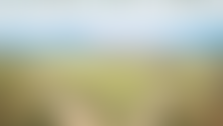 THE COURAGE TO CLIMB INTO THE CISTERN