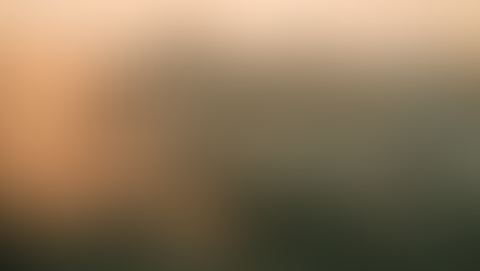 Lo irreal intacto en la realidad devastada