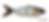Thumbnail: 7.5" 2.75oz ONE (Please provide desired color)