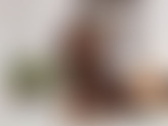 Chocolate Cavalier Puppy